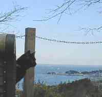 ���������ς�����̂��ɂ�[