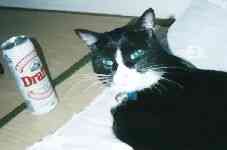 �v�n��`�A�K�����j����