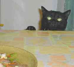 ��������!!