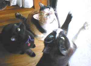 ���ɂ�ɂ�ɂ�ɂ�