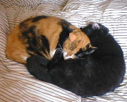 �ꏏ�ɂ���΁A��������������