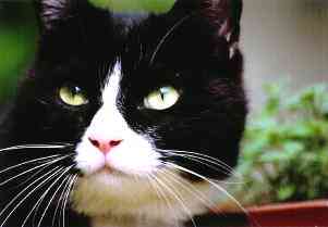 �B�e��Ȃ�ċC������Ȃ���