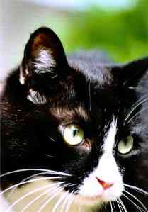 ���܂ŎB��̂�[