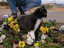 ���Ԃ����ɂ���(*^^*)