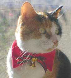 �����E�E�}�~����E�E