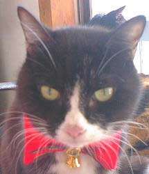 �����܂ŃN�[���Ȃ킽����