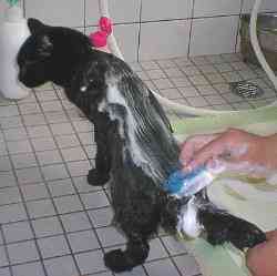 ���w�������Ă����܂��傤