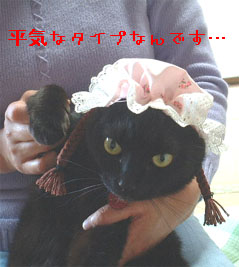 �ɁA���������H