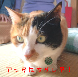 �����ɂ����́`