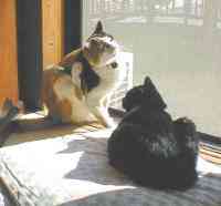 ����������������