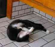 �������������