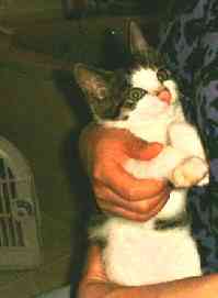 �����C��ɂ�����