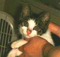 ����������D���Ȃ񂾁�