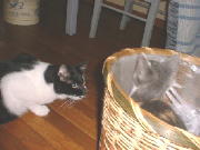 �g�������ǂ��s�����ł����H 