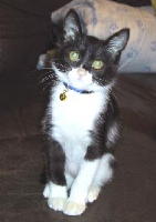 ������Ƃ����܂�