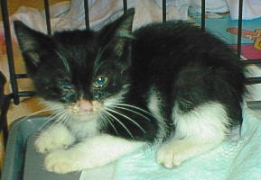 ���ׂłǂ�ǂ�