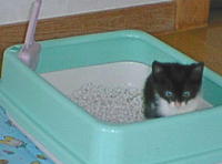 ���������`�`