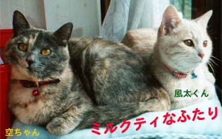 �܂�Ń~���N�e�B�݂����Ȕ����ȐF����