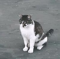 �{���W�����m��