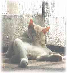 �����炭�A�����炭