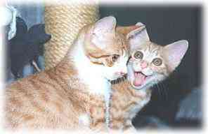 ��������A���́`��!!