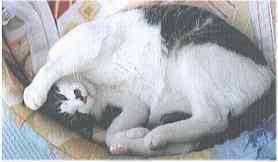 �����܂����ꂢ�������܂����A����(^^�U