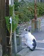 ���ꂩ��ǂ��֍s�������ɂ�`