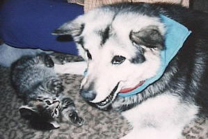 �؂����A�V��Ł`