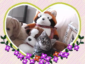 ���F�B�ƈꏏ��