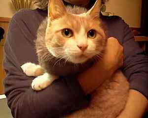 �킽�����~�~�Ł[����