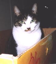 ���ɓ����Č��߂̃|�[�Y��(^-^)