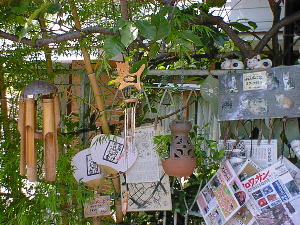 �E�b�h�x��