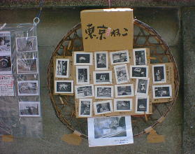 ��������������̃f�B�X�v���C