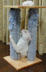 ����܂Ƃ��Ńn�b�X��