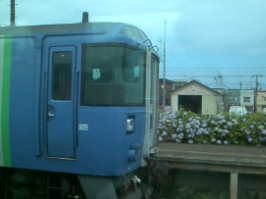 y@΃z[ɂ͖kl񂪁B@z