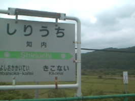 y@^~Ȃ[N搶̐EłˁBi΁j@z