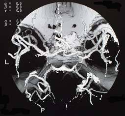 cta_image1.jpg (12308 oCg)