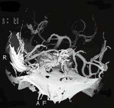 cta_image2.jpg (8444 oCg)