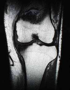 mri_image7.jpg (8580 oCg)