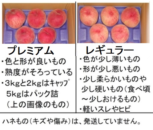 桃の規格