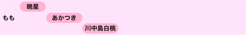 くだもの収穫シーズン　もも