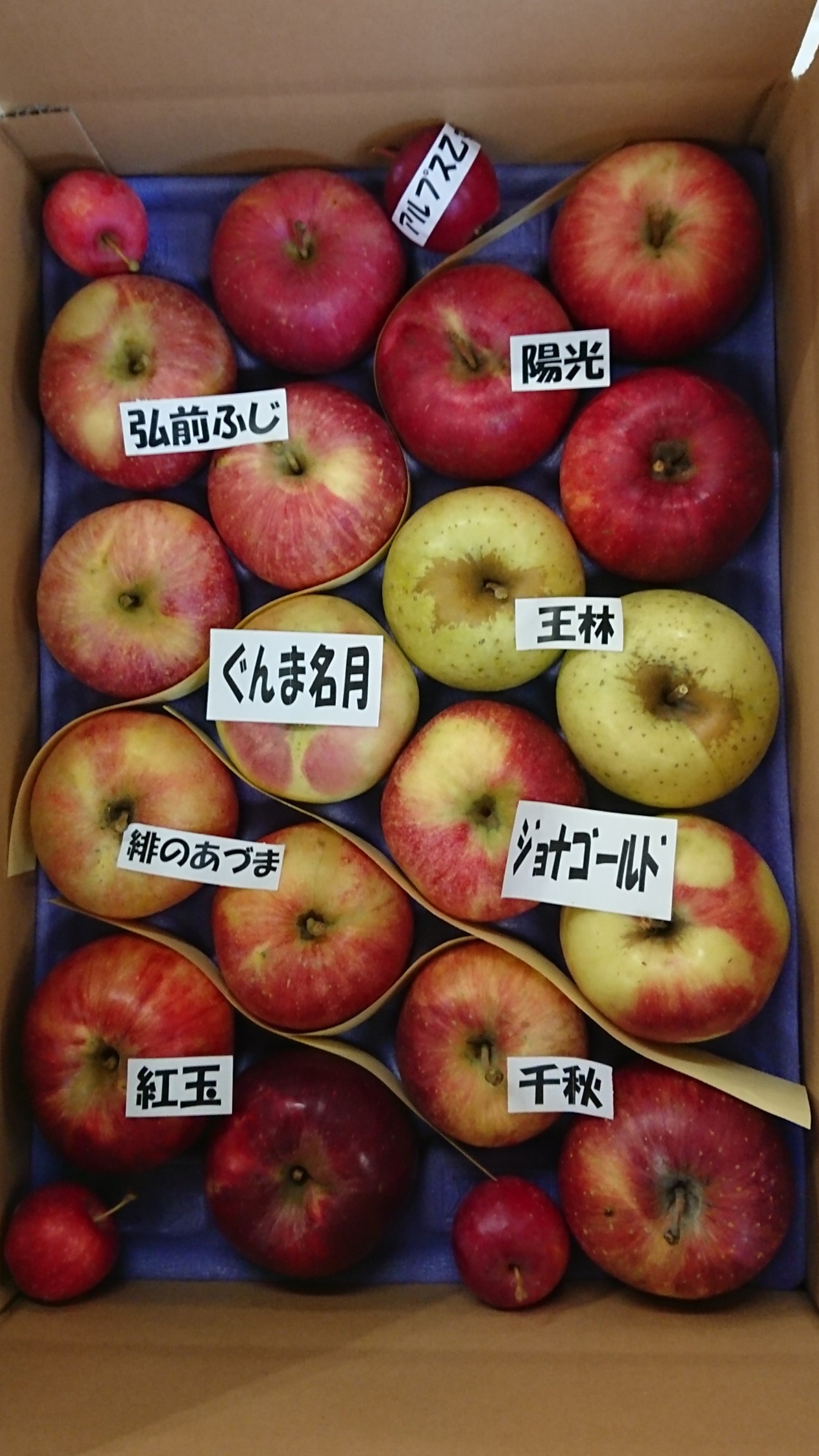 食べ比べセット