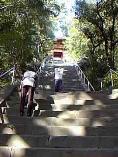 nanki05.jpg (13545 oCg)
