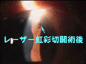[U[ʐ؊Jp