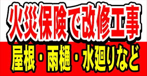 䕗Ȃǂɂ錚̍ЊQ͉΍ЕیŉCH