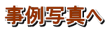 ʐ^