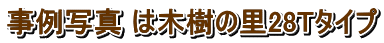 ʐ^ ͖؎̗28T^Cv