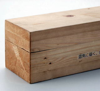 Wނ̔ʐ^@댯ȏW