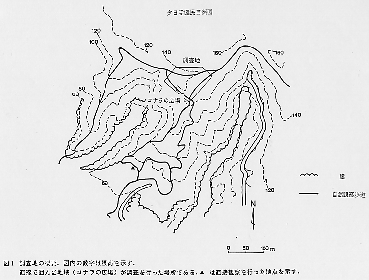 論文図表