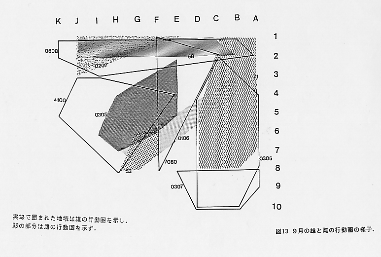 論文図表